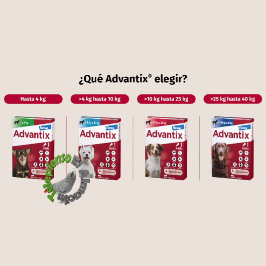 Advantix Pipetas Antiparasitarias para Perros (pack 4 pipetas)