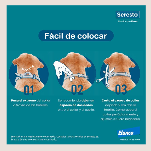 Imagen que especifíca como colocar el collar en el cuellos del perro. 1- Pasar el extremo a traves de las evillas, 2- Se recomienda dejar un espacio de dos dedos y 3- coratar el exceso yh dejar 2cm de extra, comprobar asiduamente.