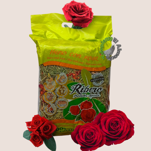 Ribero Heno con Rosa