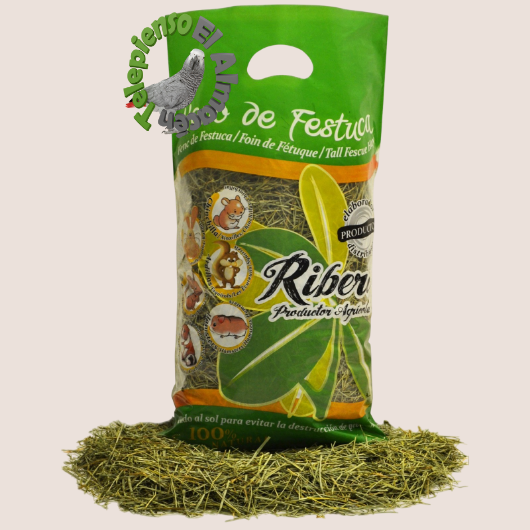 Ribero Heno de Festuca