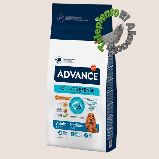 Advance Medium Adult