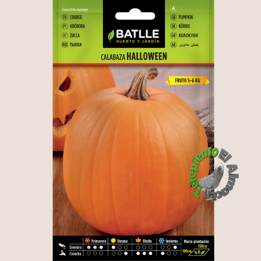 Batlle Semilla Calabaza Halloween