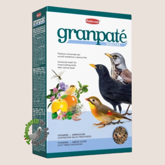 Padovan Granpatee Insectes
