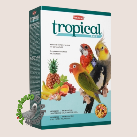 Padovan Tropical Patee