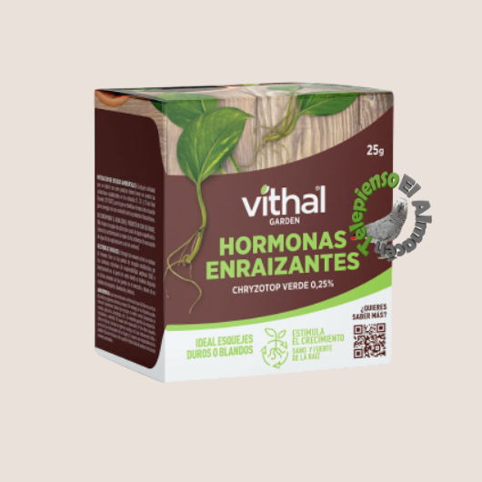 Vithal Hormona Enraizante
