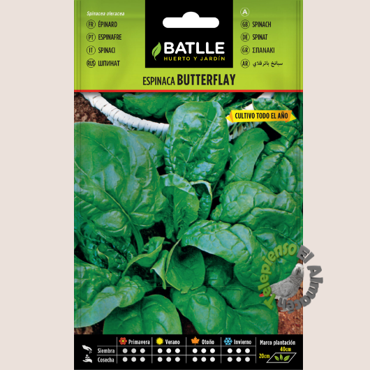 Batlle Espinaca Butterflay