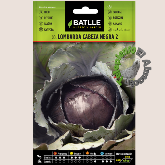 Batlle Semilla Col Lombarda Cabeza Negra