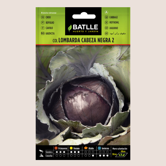 Batlle Semilla Col Lombarda Cabeza Negra