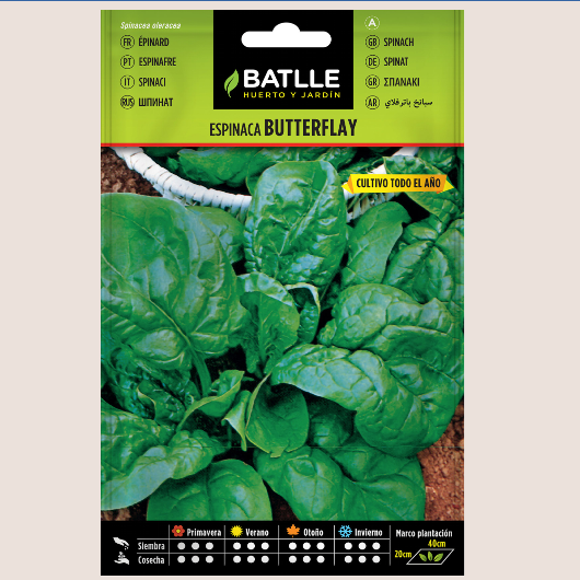 Batlle Espinaca Butterflay