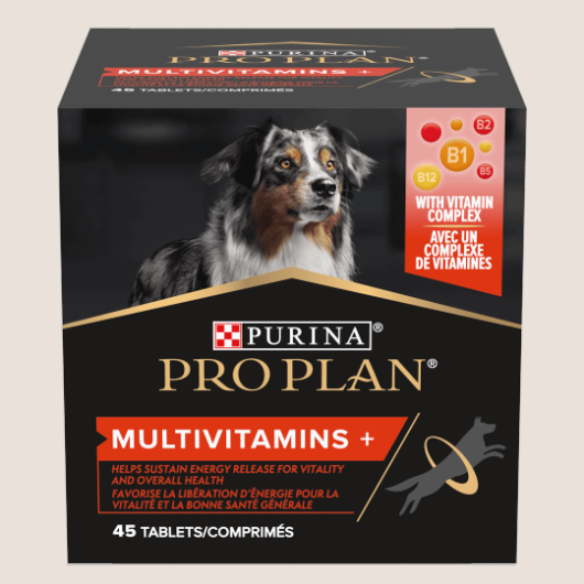 Purina ProPlan Dog Multivitamins 67 g