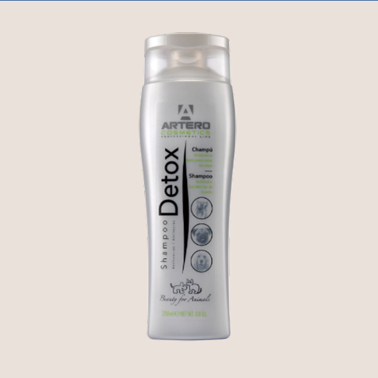 Artero Champú Detox 250 ml