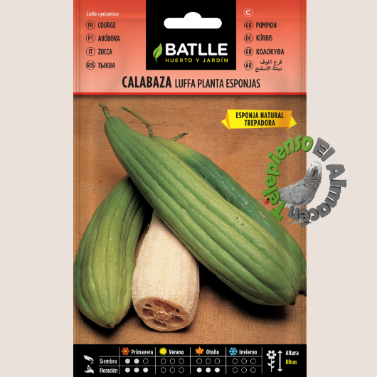 Batlle Semilla Calabaza Luffa