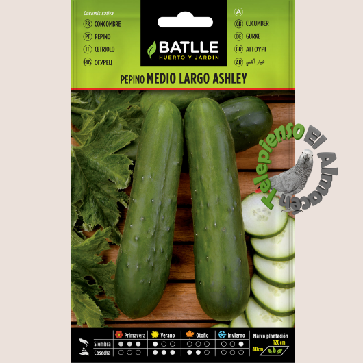 Batlle Semilla Pepino Ashley Medio Largo