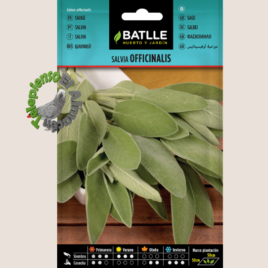 Batlle Semilla Salvia Officinalis