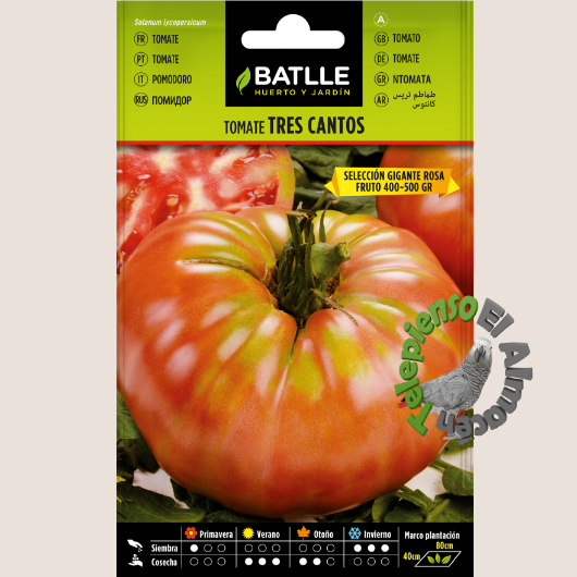 Batlle Semilla Tomate Tres Cantos