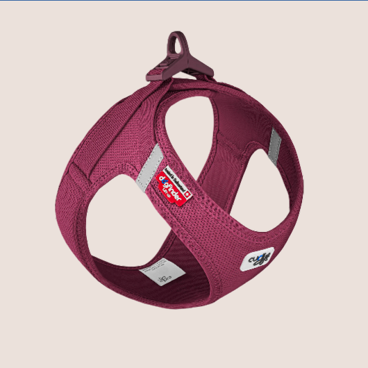 Curli Arnés Clasp Ruby
