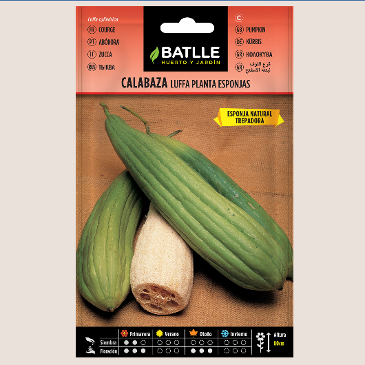 Batlle Semilla Calabaza Luffa