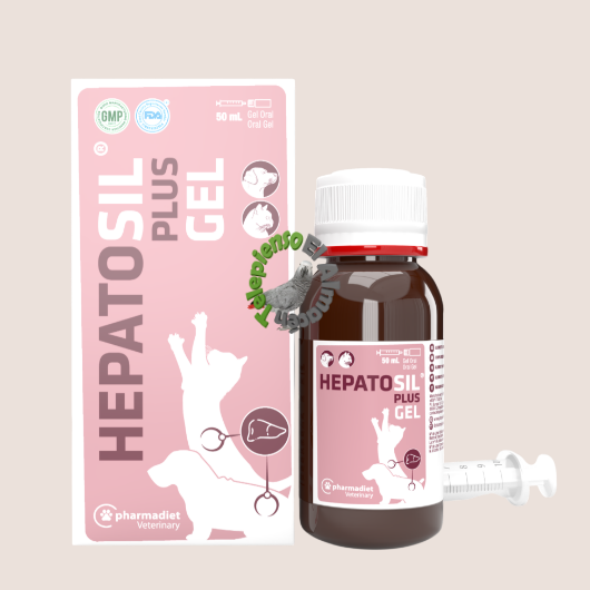 Hepatosil Plus Gel 50 ml