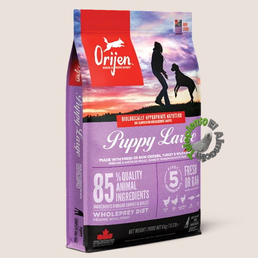 Orijen Puppy Large Breed Dog