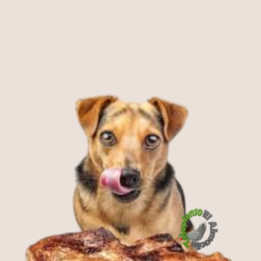 ¿Cómo Elegir el mejor pienso para tu perro? en Telepienso