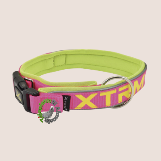 Collar X-TRM Neón Fucsia