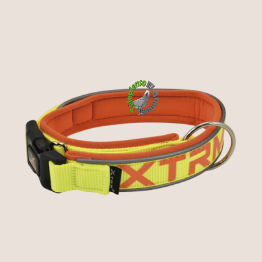 Collar X-TRM Neón Limón