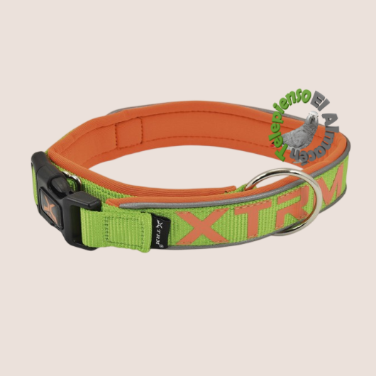 Collar X-TRM neón verde
