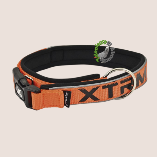 Collar X-TRM Neón Naranja